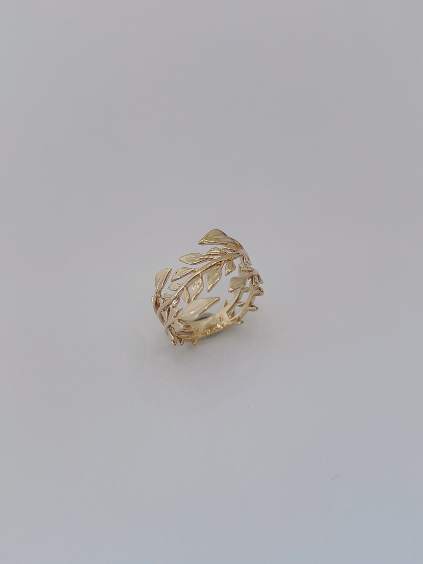 BAGUE FERTILIS